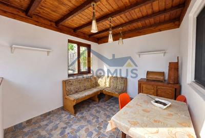 Casă cu 3 camere, anexe și livadă – Lopatnița, Șoimari - 4
