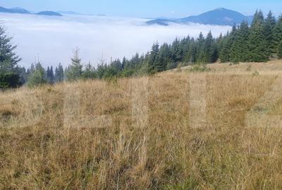 Teren Construcții extravilan de 50000 mp, în Vatra Dornei