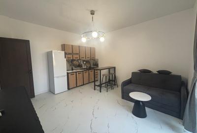 Inchiriere apartament 2 camere cu vedere in Parcul Cismigiu - 6