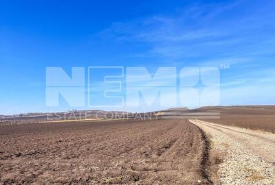 Vanzare I Teren I Suceava/Stroiesti I 100 ARI 2999 Euro/Ar - 8