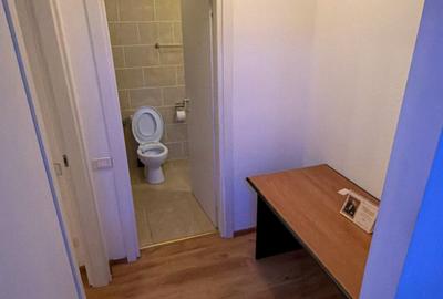 Banu Manta, liceu Ion Neculce, de inchiriat apartament la parter + curte! - 7
