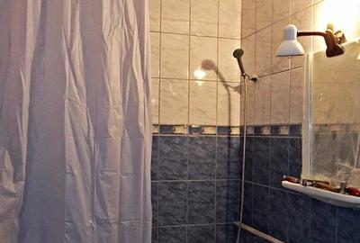 Decebal | 2 Camere | Metrou | AC | Pet Friendly Cats | 2 Balcoane - 6