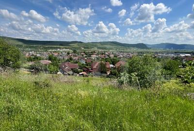 Teren agricol extravilan de 3000 mp, în Viișoara