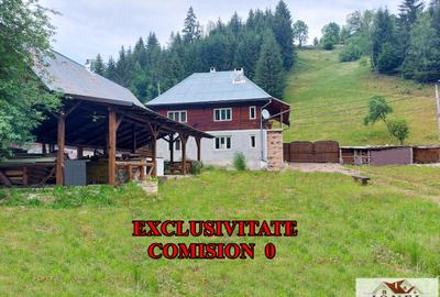 Casa de vanzare in Muntii Apuseni - Horea - 1