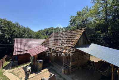 Casa din lemn, zona muntoasa, cu rau, la cheie, Ribita, Hunedoara - 33