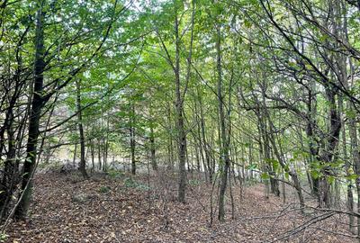 Teren intravilan 2.000 mp în Codlea, zonă verde | 9 min de E68 | 24 €/mp - 6