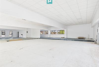 Spații Comerciale între 70 și 350 mp în Dumbrăvița - 3