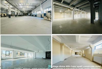 Hale Calea Chisinaului Iasi aproape de Carrefour de la 65mp la 2000mp - 1