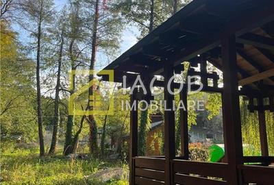 Casa cu teren, str. Slatinei, Luncani - Margineni - Bacau - 18
