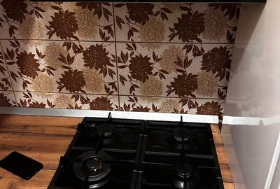 Apartament 3 camere in zona Fortuna-Vlaicu - 9