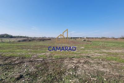 TEREN INTRAVILAN 3.870 MP – BUFTEA | ZONA TAMASI | FRONT STRADAL 32 ML - 4