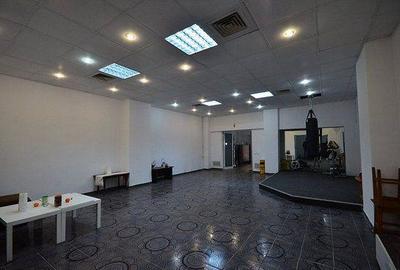 Hotel/Pensiune, 385 mp în Colentina