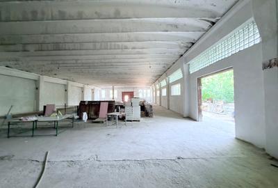 Hale din beton cu suprafata mare zona Cornisa - 2