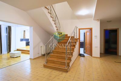 Iancu Nicolae - Vila de vanzare cu 5 camere,  500 mp - 10
