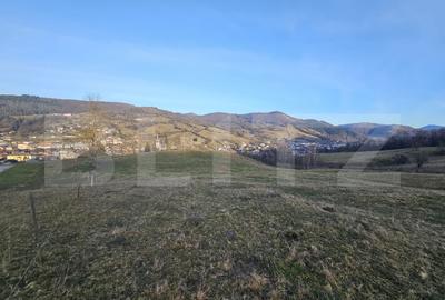 Teren Construcții intravilan de 16667 mp, în Abrud