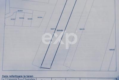 Teren Construcții intravilan de 2600 mp, în Ștefănești