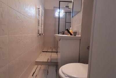 TOMIS NORD CIRESICA 3 CAMERE ETAJ 3 550 EURO TERMEN LUNG - 6