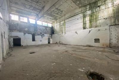 Hale industriale, 30000 mp, teren 65000 mp, zona Podari - 9