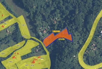 DE VANZARE 5.057 MP TEREN MIXT- MILCOIU, jud VÂLCEA - 8