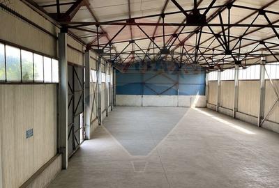 Hala + platforma betonata 600mp, Stefanesti langa centura - 2