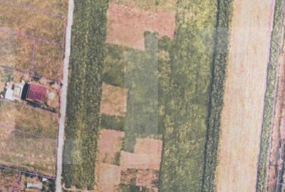 Teren agricol intravilan de 10000 mp, în Dorohoi