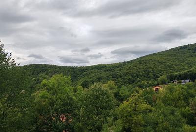 Teren Construcții intravilan de 6476 mp, în Ulmoasa