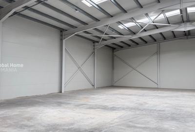 OPORTUNITATE DE INVESTITIE | HALA IN PARC INDUSTRIAL - 4