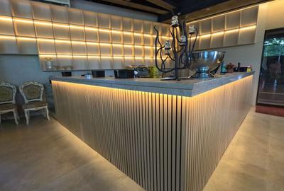 Spațiu Comercial Iconic – Piața Muncii |421 mp + 80mp| Horeca+ - 3