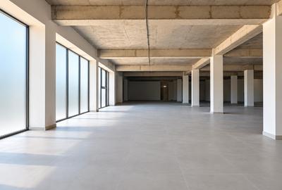 Spațiu comercial, 750 mp în Central