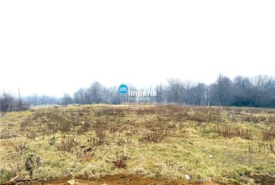 Teren Construcții intravilan de 900 mp, în Bucium