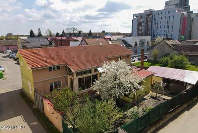 Lunei - Ion Neculce, 2 Apartamente. Mansarda 157 mp. Anexe, Lot 475 mp - 2
