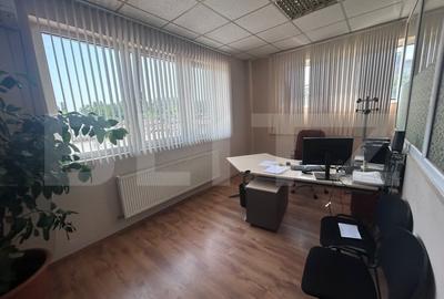 Birou, de 480.00 mp, în Brazda lui Novac