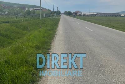 Teren intravilan de 7600 mp, în Arcalia