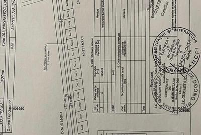 Balotesti Albinelor 450mp 15900 euro - 5