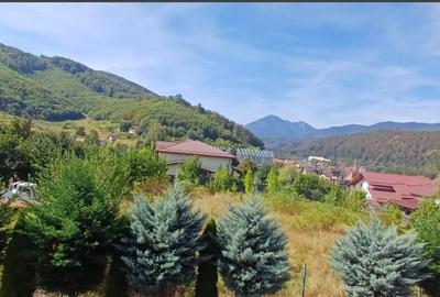 Casa indviduala, cu curte proprie, Bunloc ,Sacele - 29