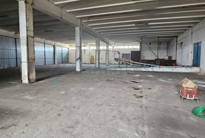 Teren pentru dezvoltare comerciala in Oradea 57000 mp, zona mixta intravilan - 13