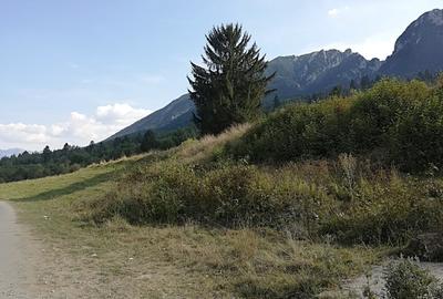 Zarnesti - Plaiul Foii, 4880 mp teren intravilan. - 5