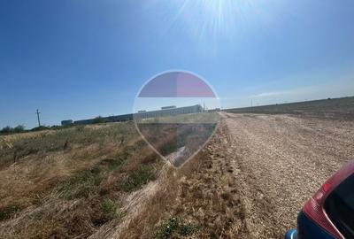 Teren intravilan  6,263mp Pielesti - 2