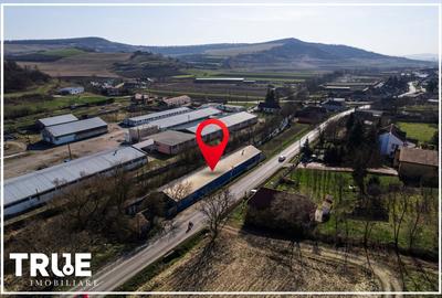 Hală de producție și depozitare - Voiniceni, Mureș - 2
