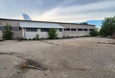 Spațiu Industrial și Logistic - 11