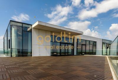 DUPLEX PENTHOUSE/TERASA 322 MP/PISCINA INTERIOARA/PRIVELISTE/2 PARCARI - 21