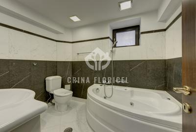 Inchiriere 7 camere la Parter in vila, curte privata 300 mp - Dorobanti Capitale - 14
