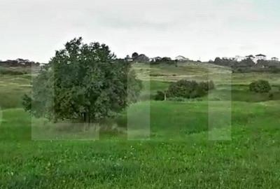 Teren Construcții intravilan de 4039 mp, în Borhanci