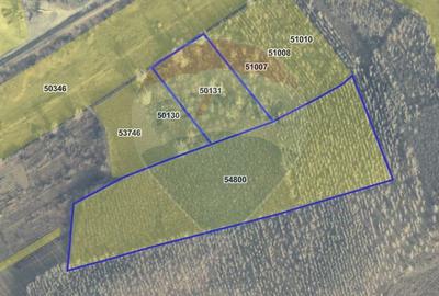 Teren extravilan de 80000 mp, în Suraia