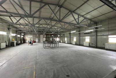OTOPENI ODAILE HALA Productie si depozitare 1000 MP - 12