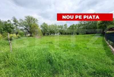 Teren Construcții intravilan de 1660 mp, în Tohănița