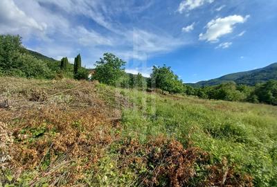 Teren în Fântânele – 3.673 mp, pârâu si cadru natural  deosebit - 12