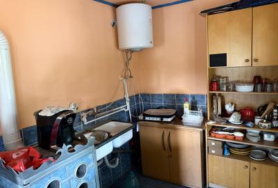 CASĂ DE VACANȚĂ ÎN GRADINA VIILOR CAREI CU 1.924 MP TEREN FRONT 15M - 5