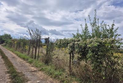 Teren intravilan Sânpetru – Livada - 8