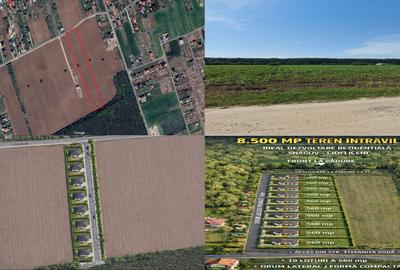 8.500 mp dubla deschidere- la str. Stefanita Voda si la padure Ciofliceni/Snagov - 6
